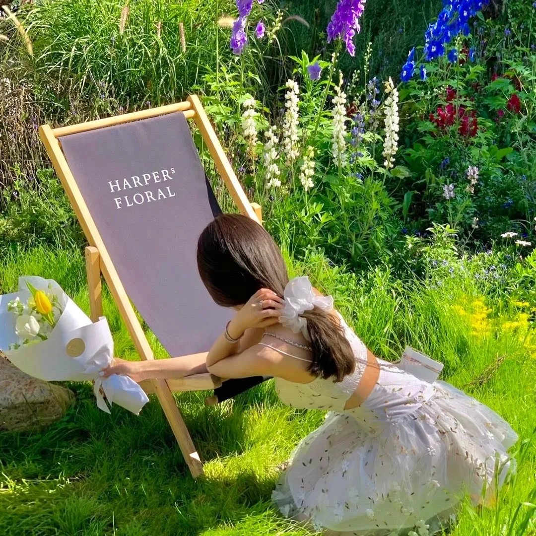 战龙哥斯拉之决战宇宙魔龙